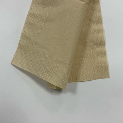 Eco Bamboo Dinner Napkins Degradable 3 Ply Dinner Napkins 40x40cm