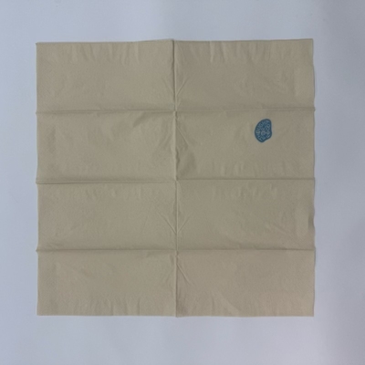 Bamboo Cocktail Napkins 33x33cm 18gsm Dual Layer 500pcs Space Saving Pack