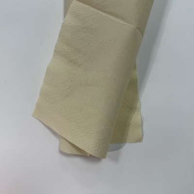 1/4 Fold 100pcs 2 Ply Dinner Napkins 25x25cm Bamboo Paper Napkins