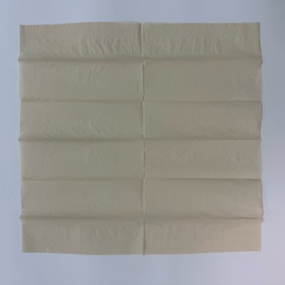 40×40cm Disposable Paper Napkins 2 Ply 1/12 Fold For Wedding