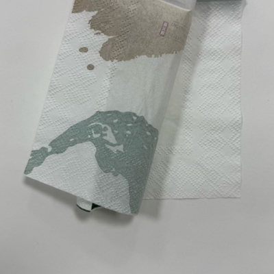 30×30cm Paper Napkins 2 Ply White Custom Paper Dinner Napkins