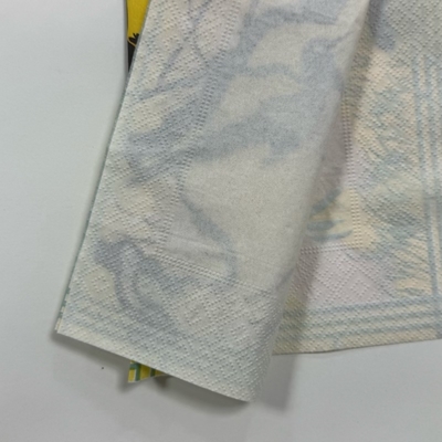 33×33cm Printed Paper Napkins 18gsm Disposable Cocktail Serviettes