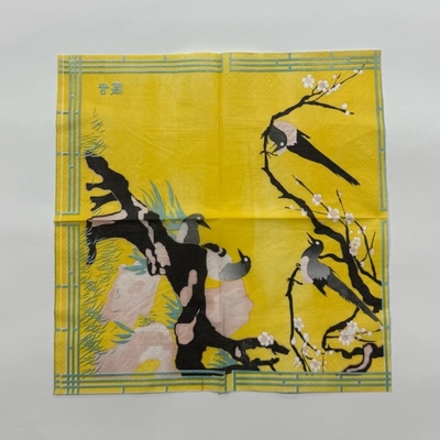 33×33cm Printed Paper Napkins 18gsm Disposable Cocktail Serviettes