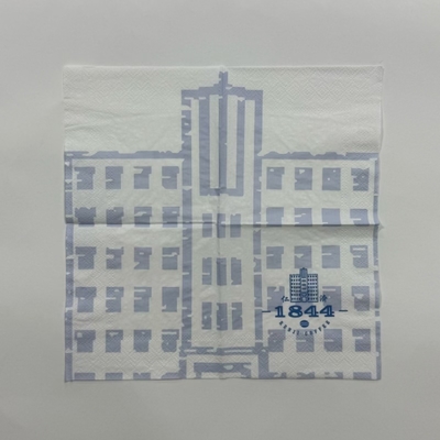 PE Coated Waterproof Napkins 18gsm Dot Printing 33*33cm For Outdoor