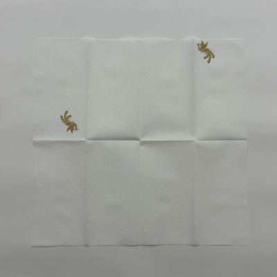 Food Grade Airlaid Paper Napkins 42*42cm 2 Ply Customized Paper Napkins