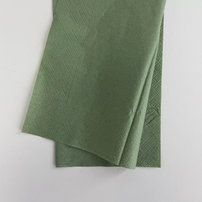 33*40cm Green Paper Napkins 1/4 Fold Printed Cocktail Napkins