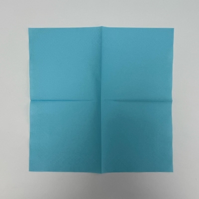 Blue Paper Dinner Napkins 3 Ply Square Personalized Paper Dinner Napkins
