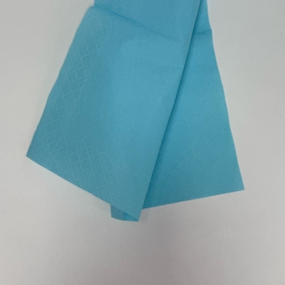 Blue Paper Dinner Napkins 3 Ply Square Personalized Paper Dinner Napkins